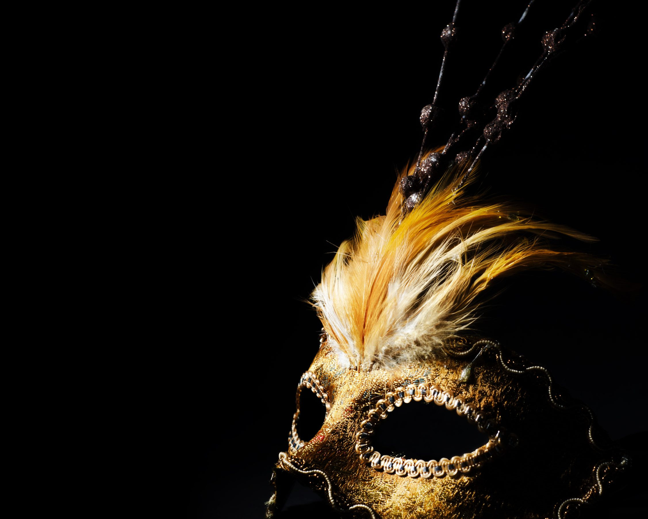 Facial Harmonization Black Mask